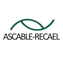 
                                            Ascable                                        